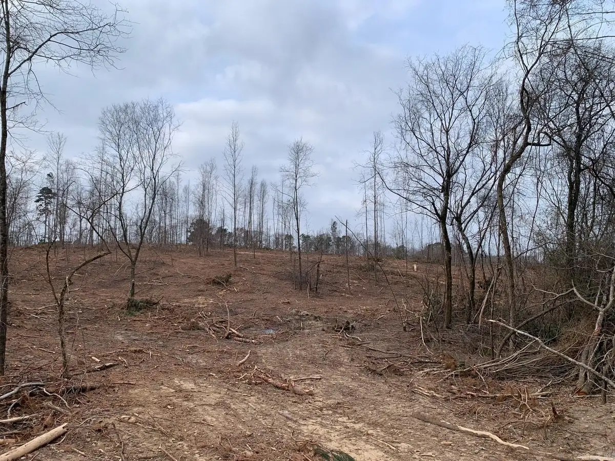 Tract 4 11395 Hwy 84, Bismarck, AR 71929 - #1