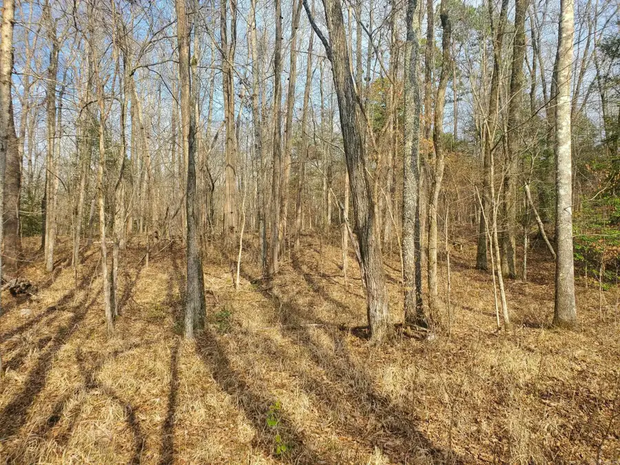 TBD Kates Creek Road, Oden, AR 71961 - #3