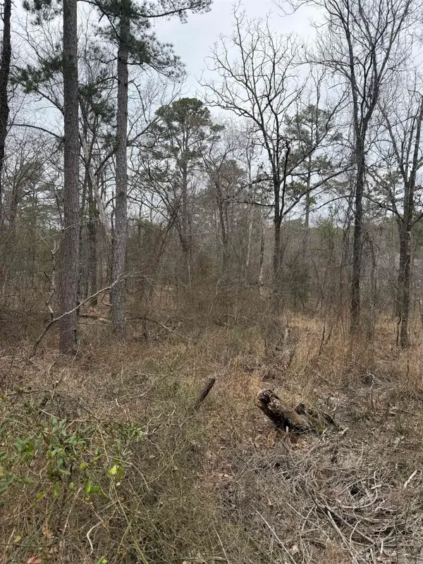 TBD San Juan Way, Hot Springs Village, AR 71909