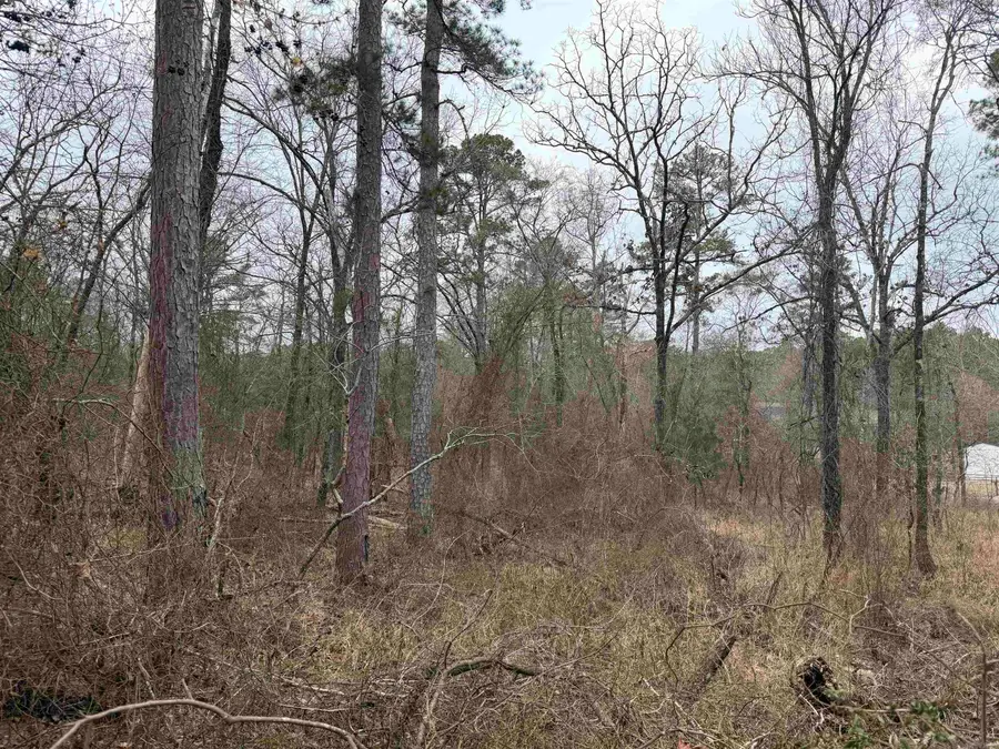 TBD San Juan Way, Hot Springs Village, AR 71909 - #2