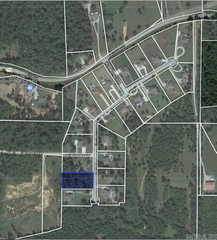 3102 Bronze Leaf, Paragould, AR 72450 - #1