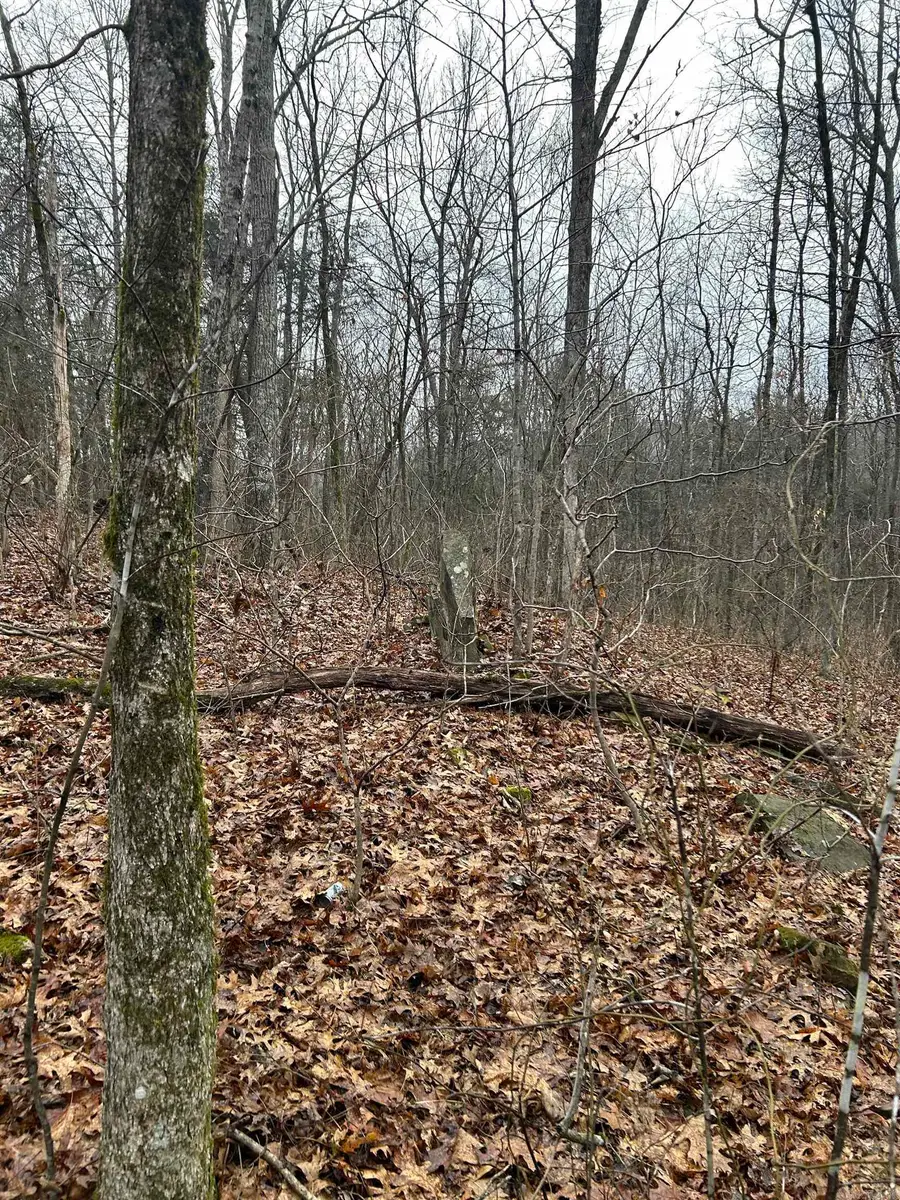 3306 Black Hill Road, Bee Branch, AR 72013 - #3