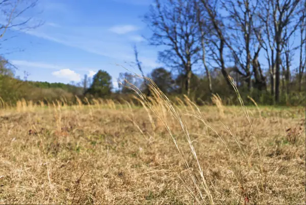 0 Hwy 287, Holland, AR 72173