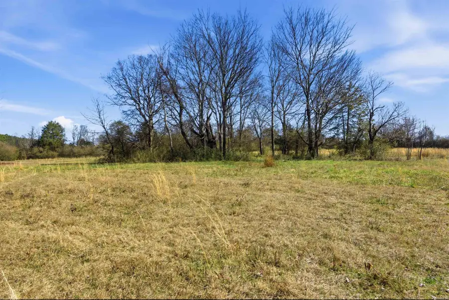 0 Hwy 287, Holland, AR 72173 - #2