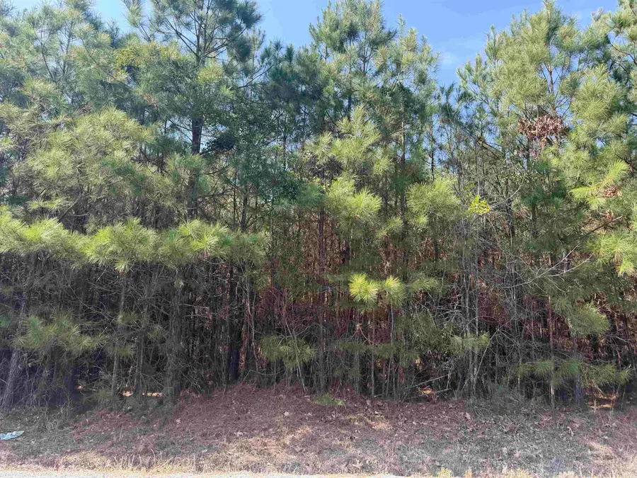 Grant County 9, Sheridan, AR 72150 - #2