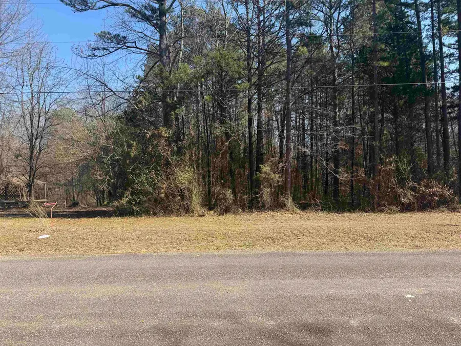 487 Valley Dr., Heber Springs, AR 72543 - #3