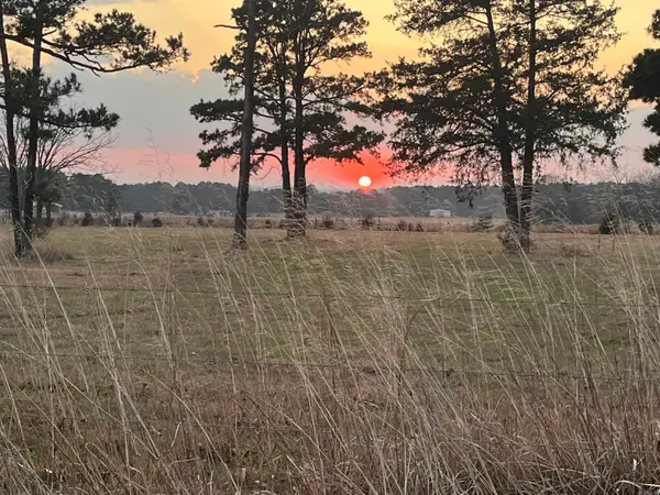 Address Withheld By Seller, Damascus, AR 72013