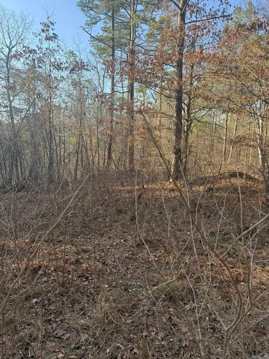 TBD Old Factory Site Road, Murfreesboro, AR 71958 - #2