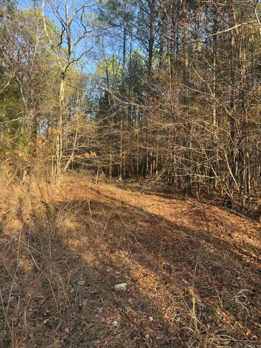 TBD Old Factory Site Road, Murfreesboro, AR 71958 - #3