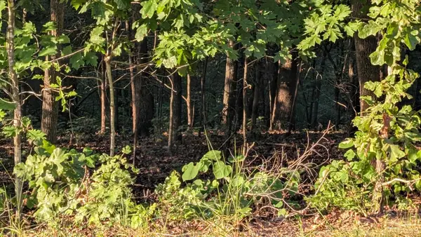 Tonto Drive, Cherokee Village, AR 72529