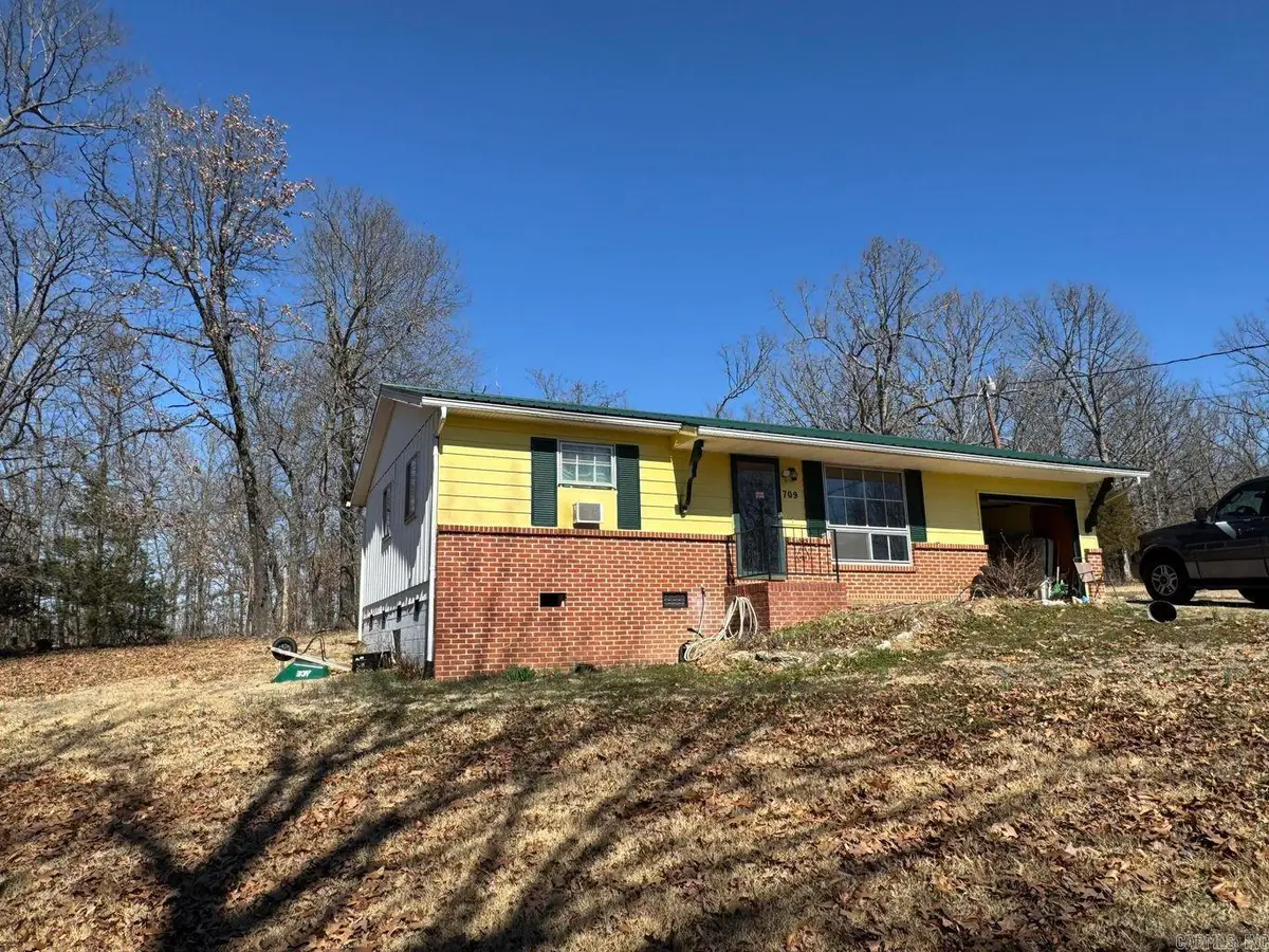 709 Owl Drive, Horseshoe Bend, AR 72512 - #1