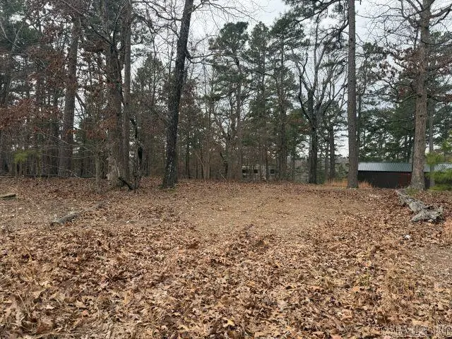 486 Mc 2084, Peel, AR 72668 - #3