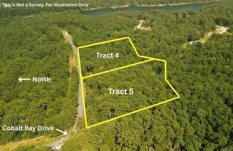 Tract 4 Cobalt Bay Drive, Shirley, AR 72153 - #2
