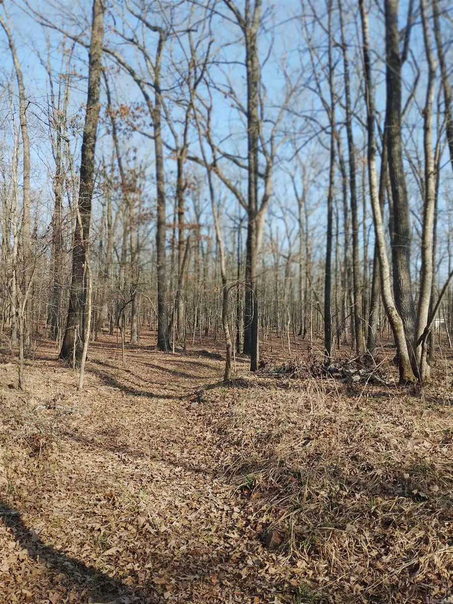 00 Main Street, Jacksonville, AR 72076 - #2