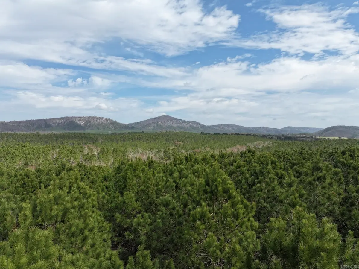 XXX J Dunson Road, Langley, AR 71952 - #1