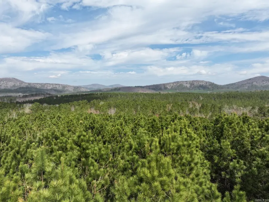 XXX J Dunson Road, Langley, AR 71952 - #2