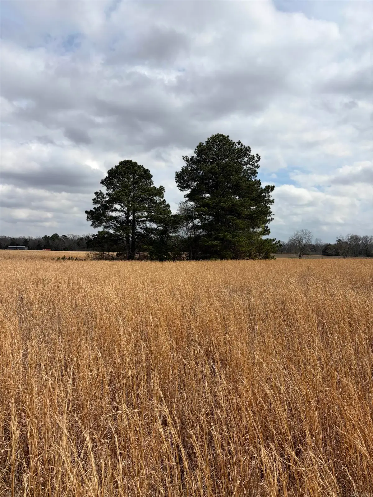 000 Hwy 267 Spur, Beebe, AR 72012 - #1