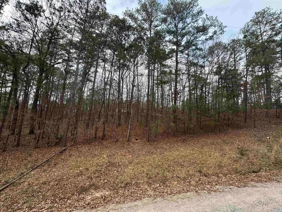 tbd Doubloon Circle, Hot Springs, AR 71913 - #3