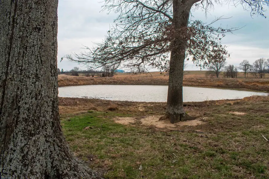 945 Cutoff Road, Melbourne, AR 72556 - #3