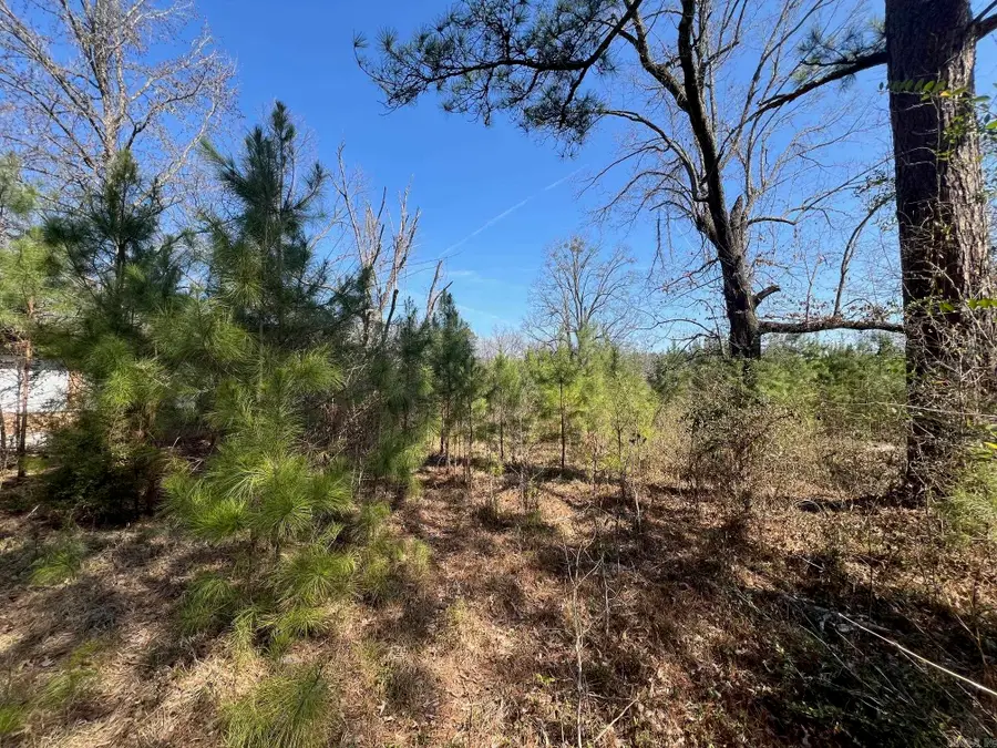 Address Withheld By Seller, Pine Bluff, AR 71603 - #2