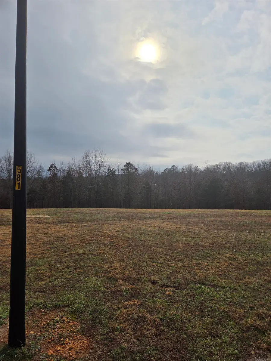 000 Tournament Drive, Mountain View, AR 72560 - #2