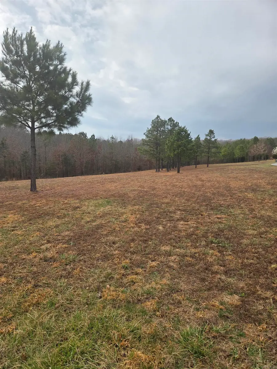 000 Tournament Drive, Mountain View, AR 72560 - #3