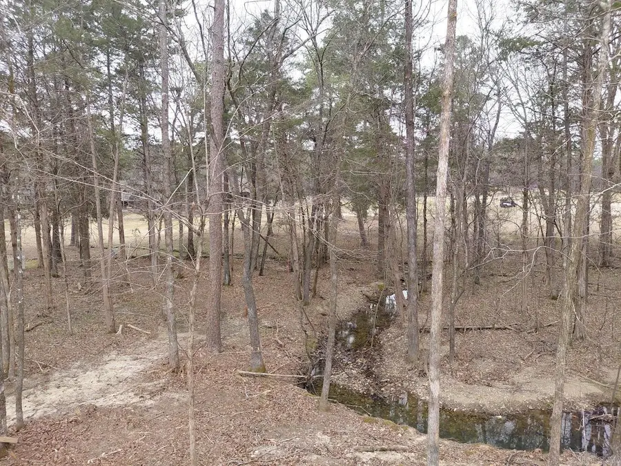 7 Sergio Way, Hot Springs Village, AR 71909 - #2