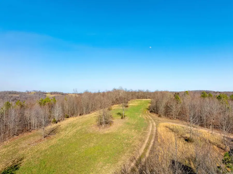 Collistown Rd, Cushman, AR 72526 - #2