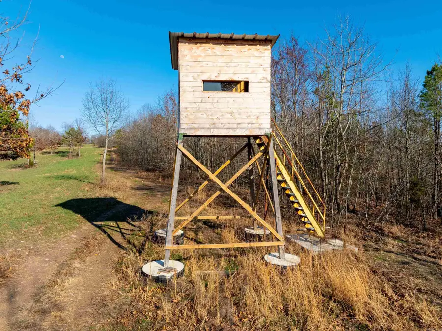 Collistown Rd, Cushman, AR 72526 - #3