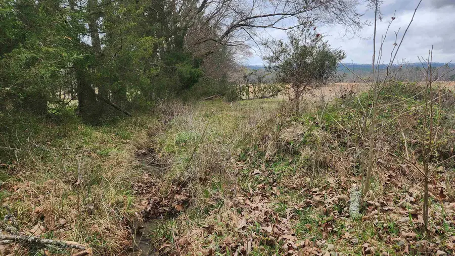 TBD Albert Pike Rd, Royal, AR 71968 - #2