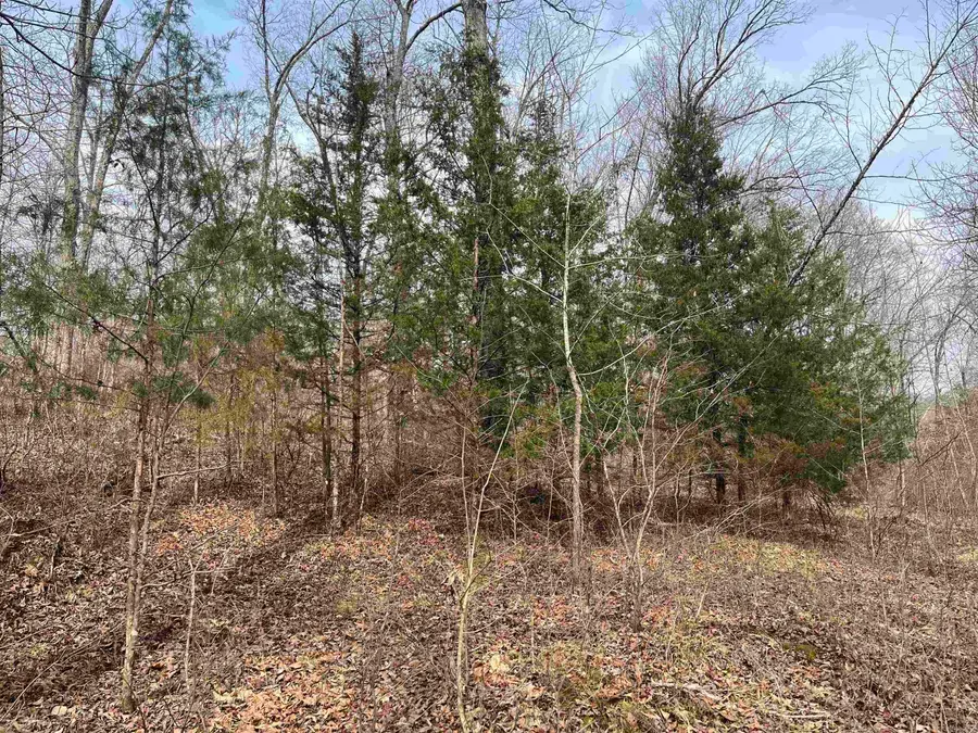 00 Endline Road, Marshall, AR 72650 - #2