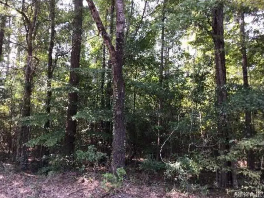 0000 Us Hwy 274, Fordyce, AR 71742 - #2