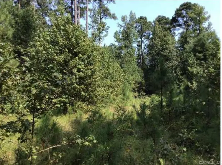 000 County Rd 79, Fordyce, AR 71742 - #2