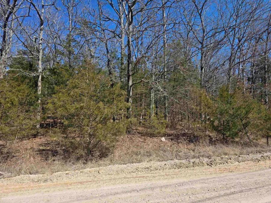 1112 Court Loop, Horseshoe Bend, AR 72512 - #2