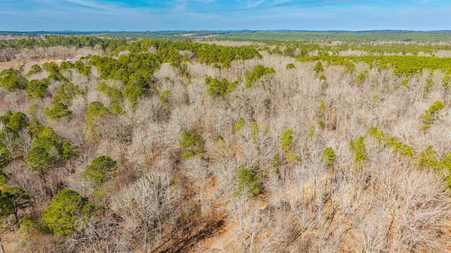 0000 Brushy Cemetery Road, Amity, AR 71921 - #2