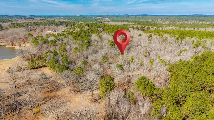 0000 Brushy Cemetery Road, Amity, AR 71921 - #3