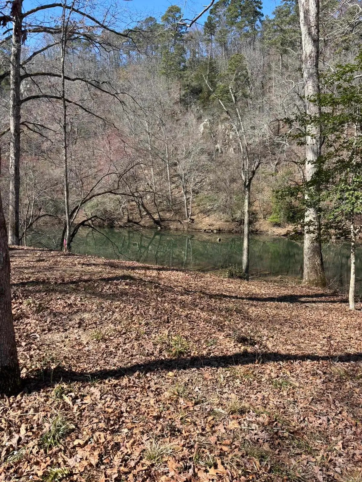 TBD Quail Lane, Murfreesboro, AR 71958 - #1