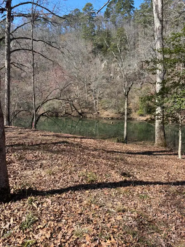 TBD Quail Lane, Murfreesboro, AR 71958