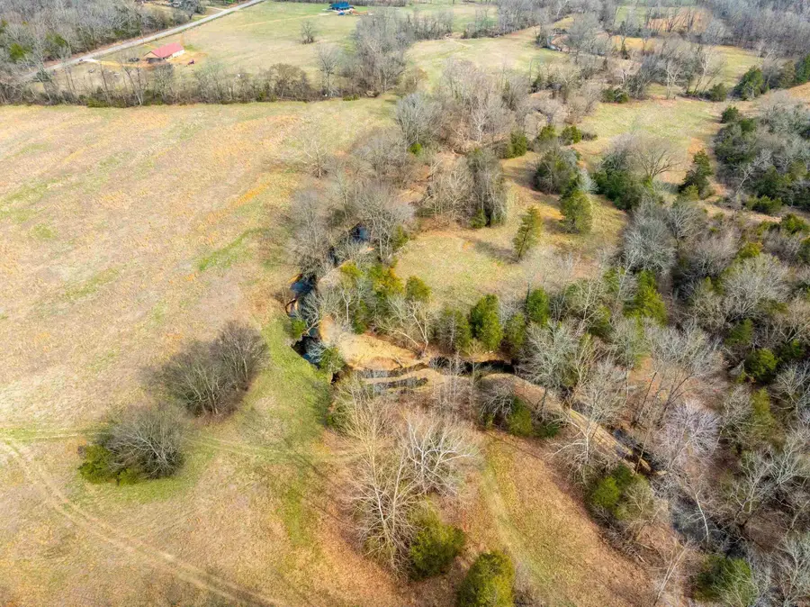 2794 & 2830 Antioch Rd, Cave City, AR 72521 - #3