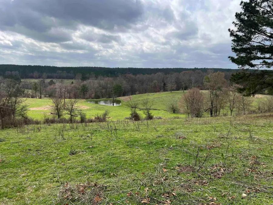 xx Shaw Road, Newhope, AR 71959 - #2