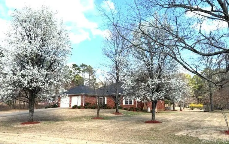 329 Deer Run Cove, Heber Springs, AR 72543 - #3