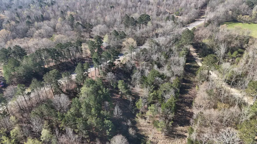 TBD Gillham Lake Road, Mineral, AR 79841 - #2