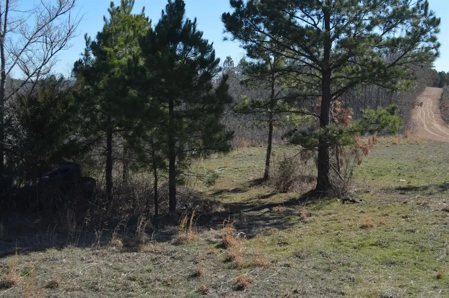 00 Gutter Rd, Harriet, AR 72639 - #2