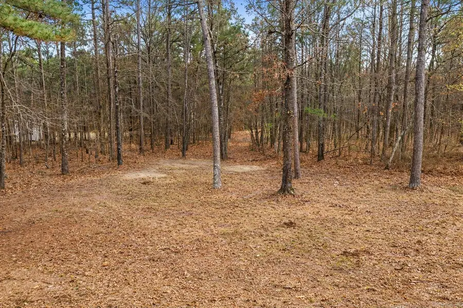 6114 Kilcrease, Pine Bluff, AR 71603 - #3