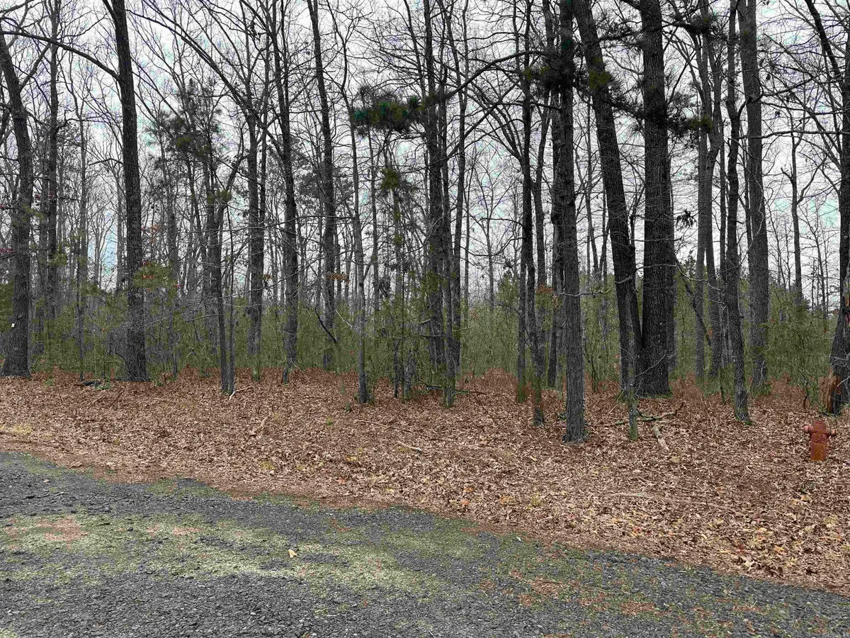 Lot 5 Woodland, Greers Ferry, AR 72067 - #1