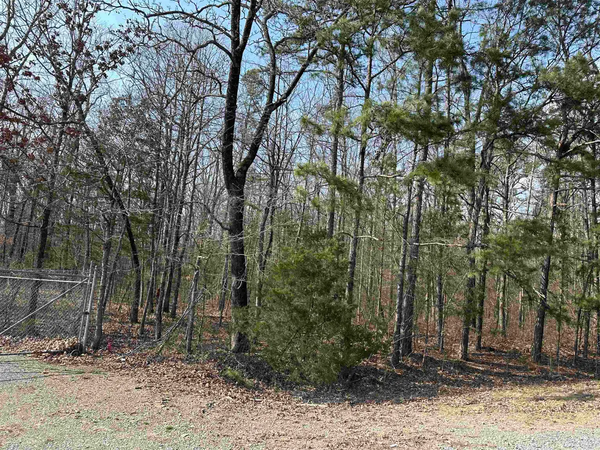Lot 19 Woodland, Greers Ferry, AR 72067 - #1