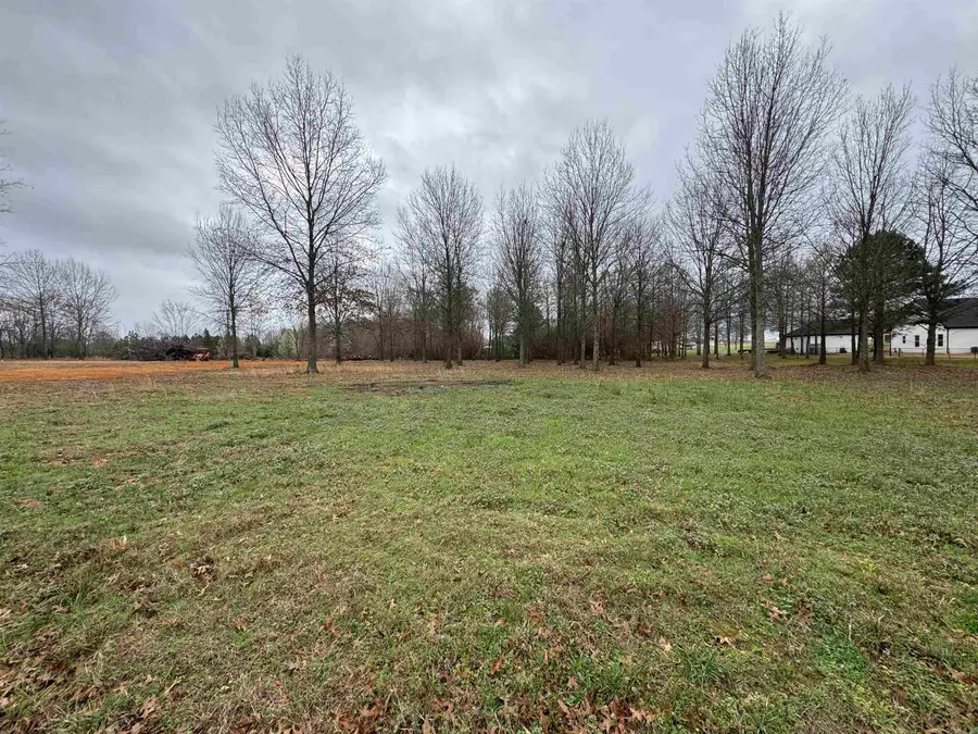 32R River Birch Drive, Guy, AR 72061 - #2