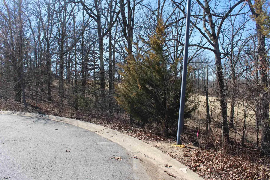 22 Algonquin Court, Cabot, AR 72023 - #3