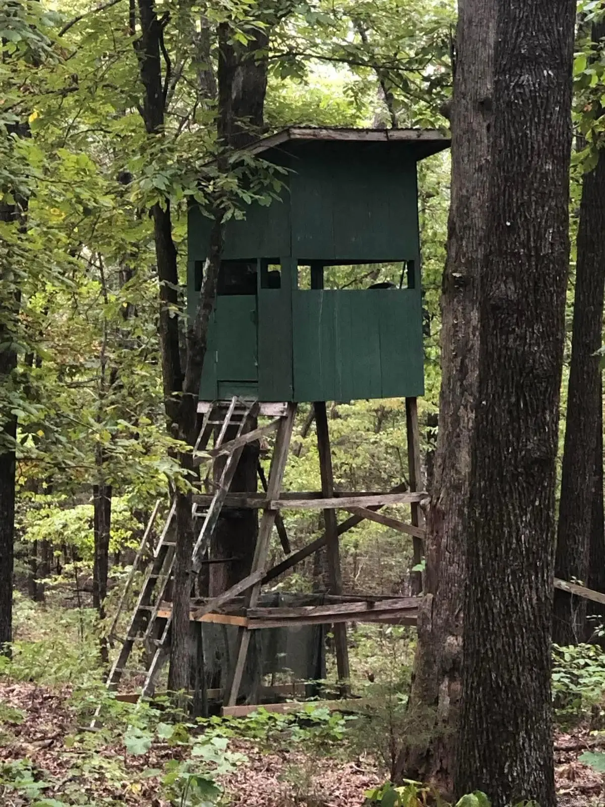 Lot 51-52 Buck Ridge Lane, Williford, AR 72482 - #1