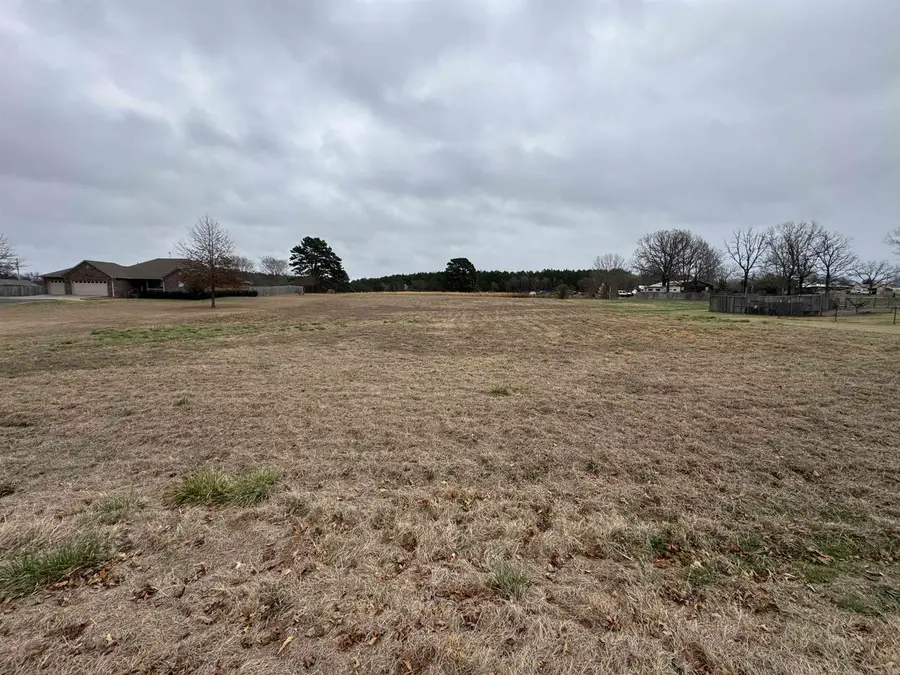 33 Kessinger Cove, Guy, AR 72061 - #2